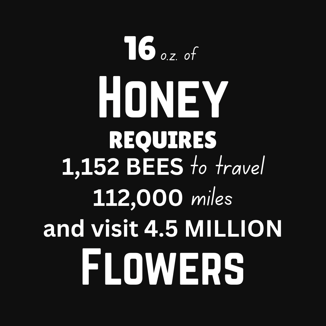 Rock County Bee Keeper Tshirt