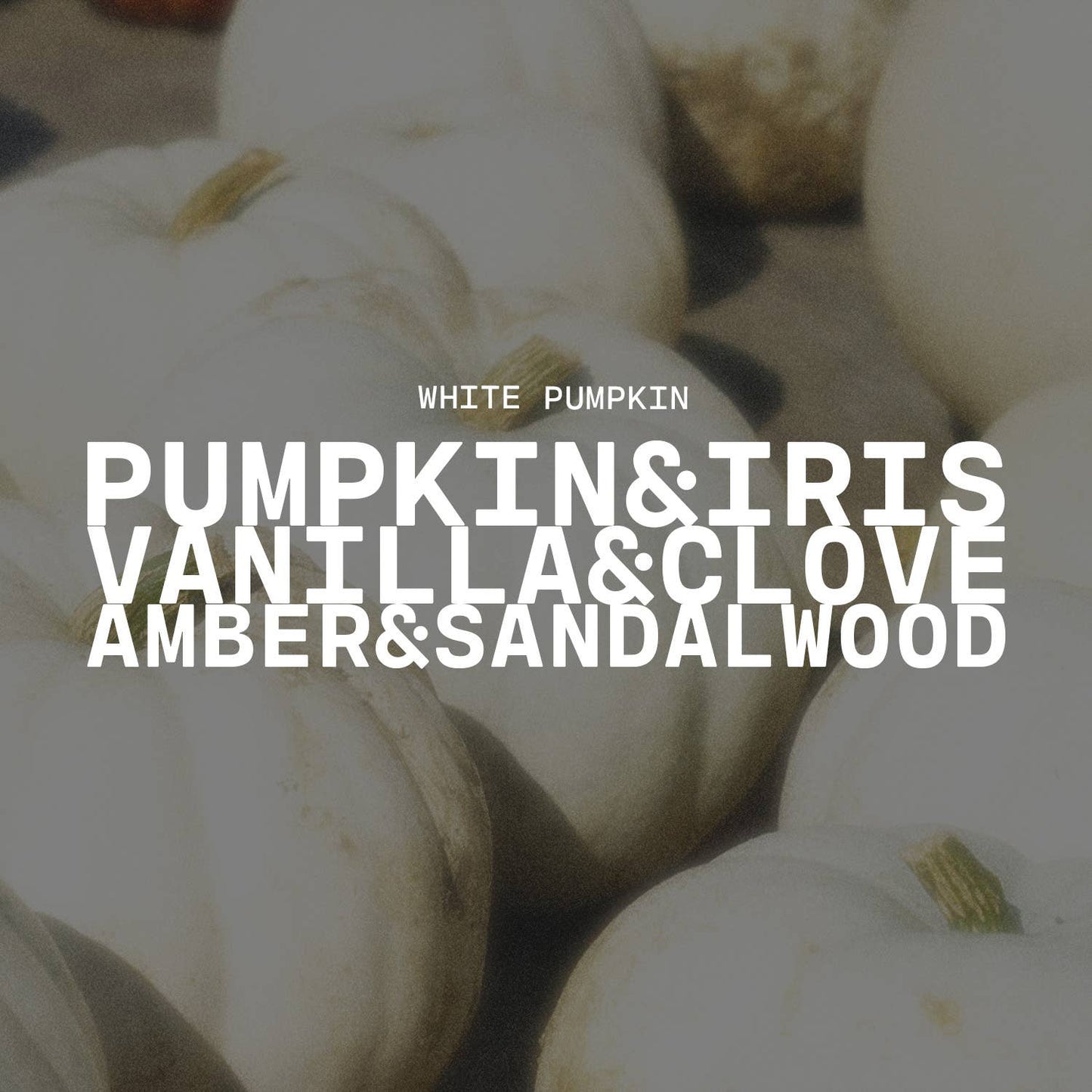 13 oz Mason Jar Fall Candle: White Pumpkin