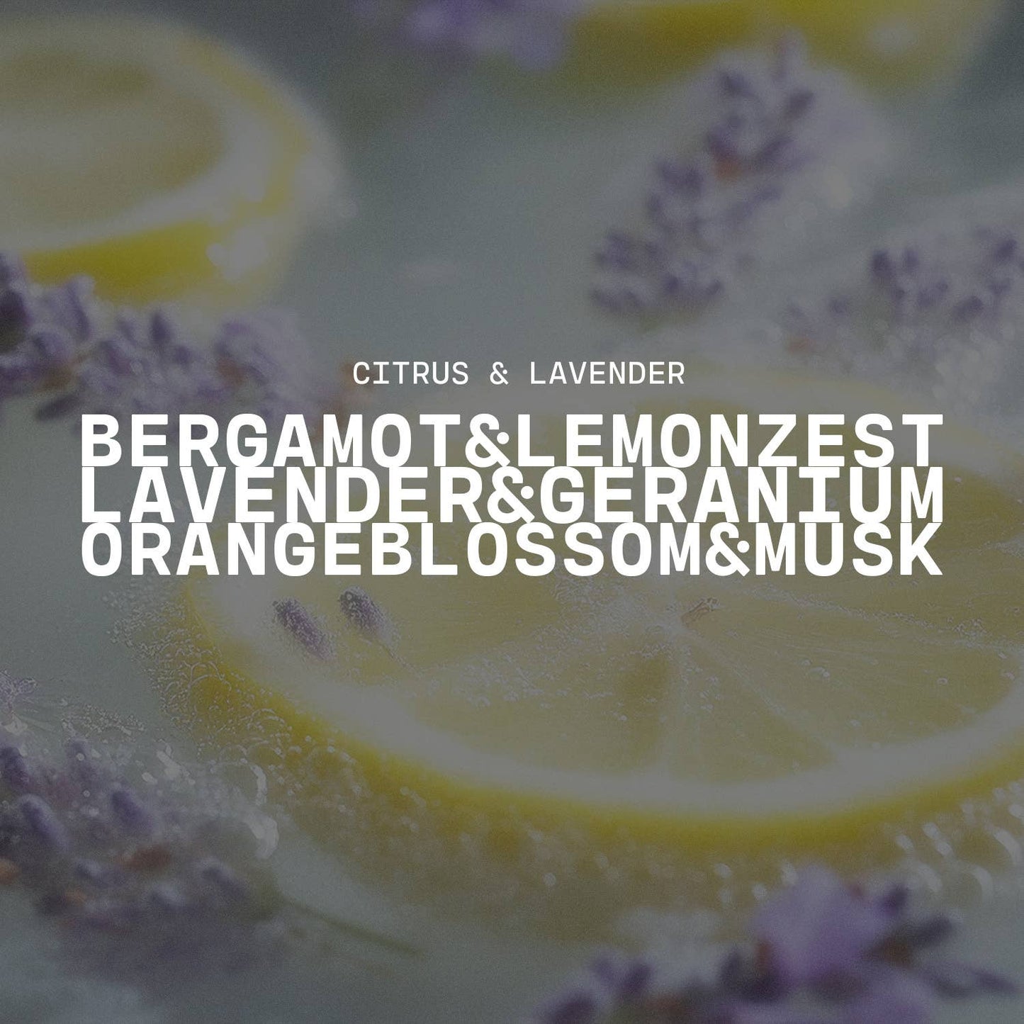 16 oz Butter Jar Candle: Citrus & Lavender