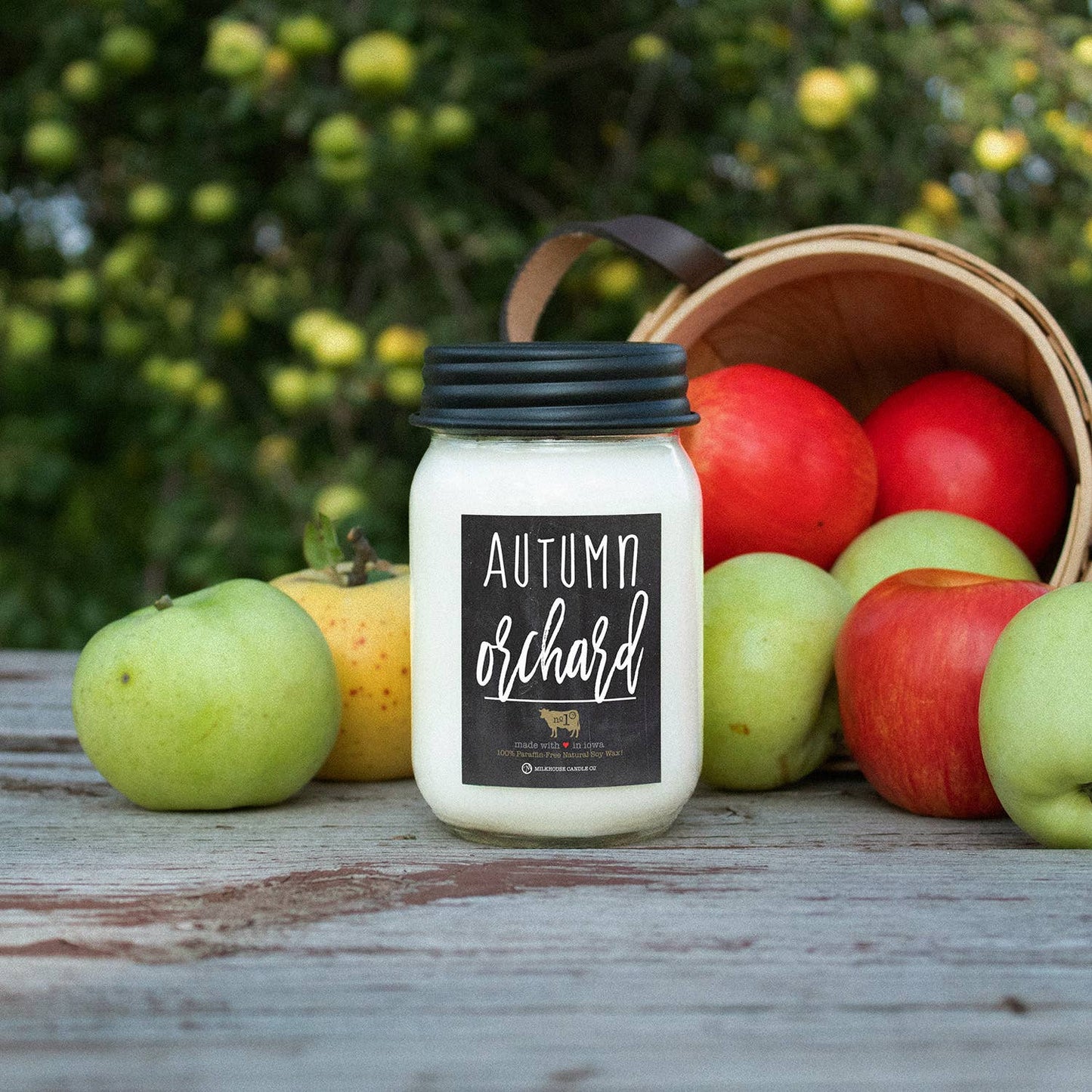 13 oz Mason Jar Fall Candle: Autumn Orchard