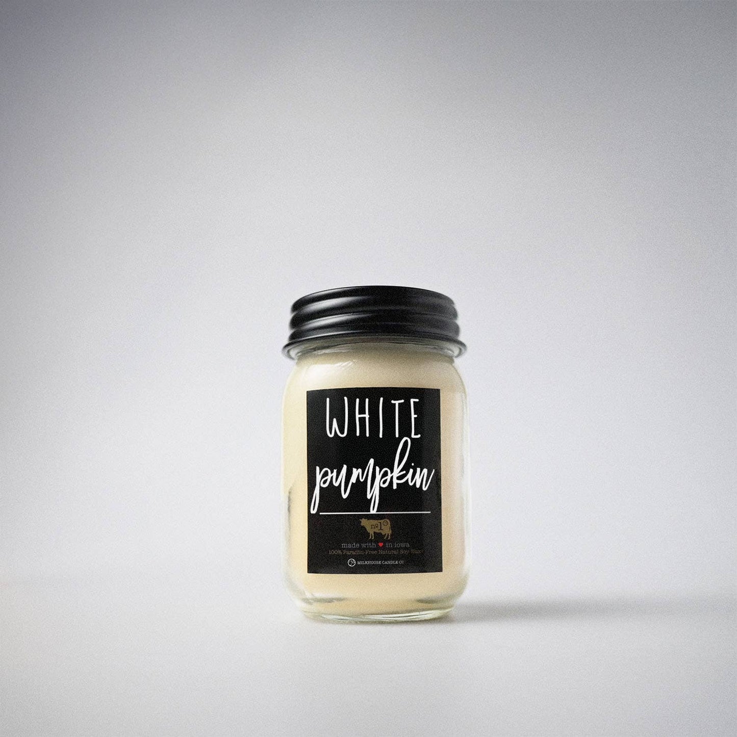 13 oz Mason Jar Fall Candle: White Pumpkin
